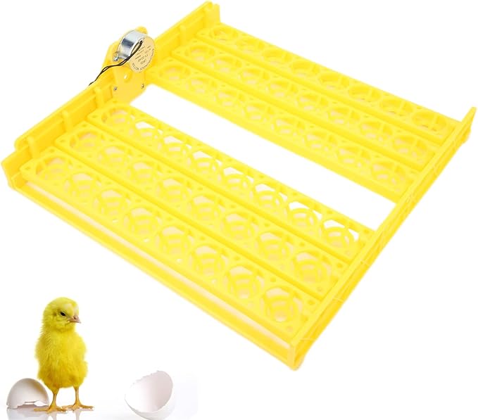 Automatic Egg Turner, Hollow Egg Tray ABS Egg Turner Poultry Incubator Accessories for Ducks for Birds for Chickens for Poultry(#3)