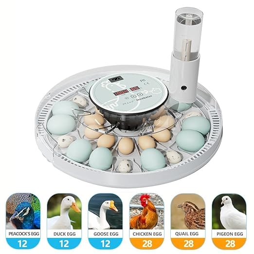 MeeF Egg Incubator for Hatching 28 Eggs, Auto Flip, Independent Atomizing Humidifier, with Duck and Goose Egg Trays (White)