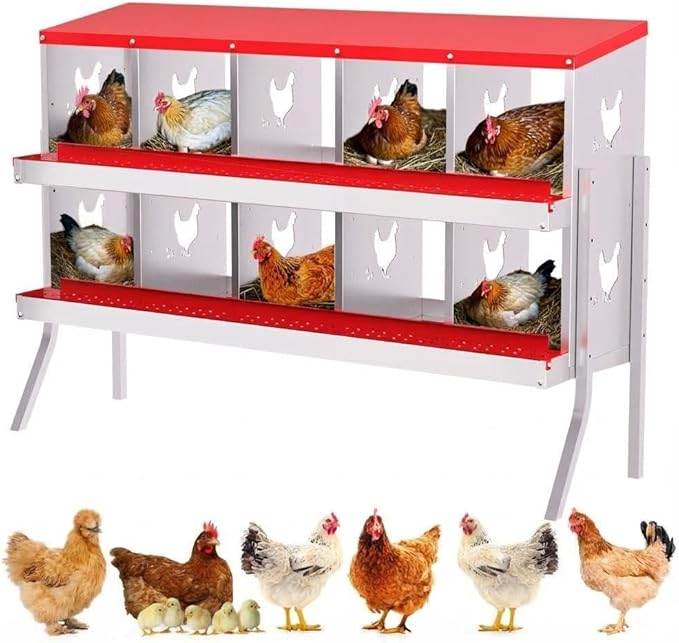Chicken Nesting Box,10 Holes Galvanized Steel Metal Chicken Laying Box with Automatic Roll-Away Egg Collection System & Removable Tray,Wall Mount Nesting Boxes