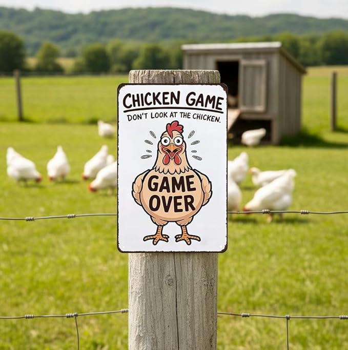 Funny Chicken Game Don't Look At The Chicken Vintage Tin Sign for Home Farm Chicken-Coop Kitchen Garden Yard Decor 8X12 Inch (3937)
