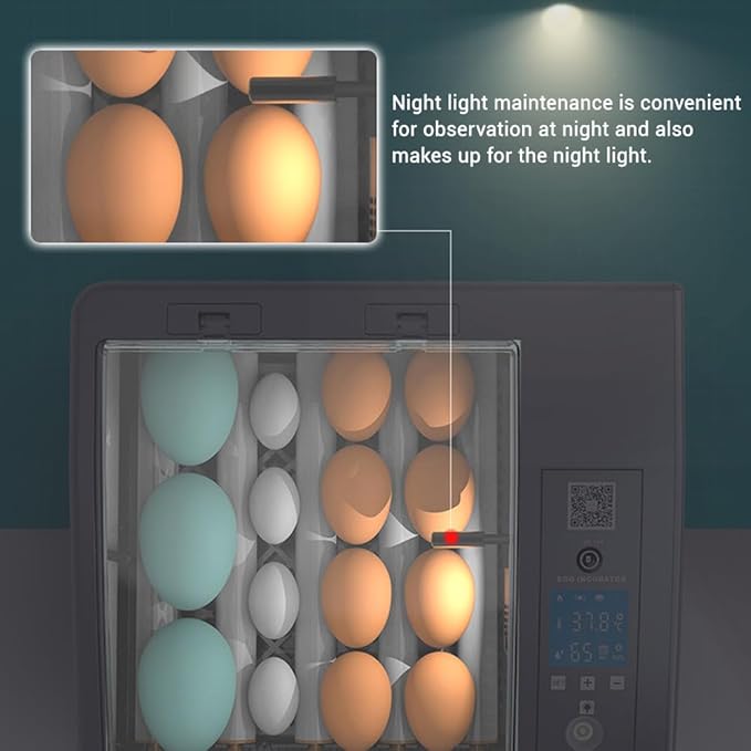 Egg Incubators for Hatching Eggs, Chicken Incubator for Eggs with Automatic Egg Turning and Humidity Control, for Hatching Chickens, Quails, Ducks, Geese，Parrots