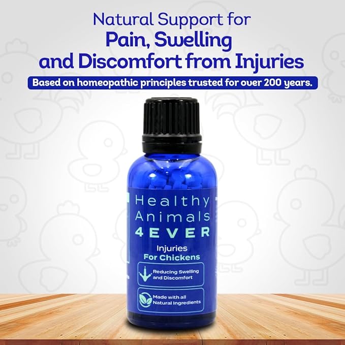HA4E - Chicken Injury Supplement - Supports Recovery from Accidents & Injuries - Highly Effective, Natural Homeopathic Tablets - 300 Count
