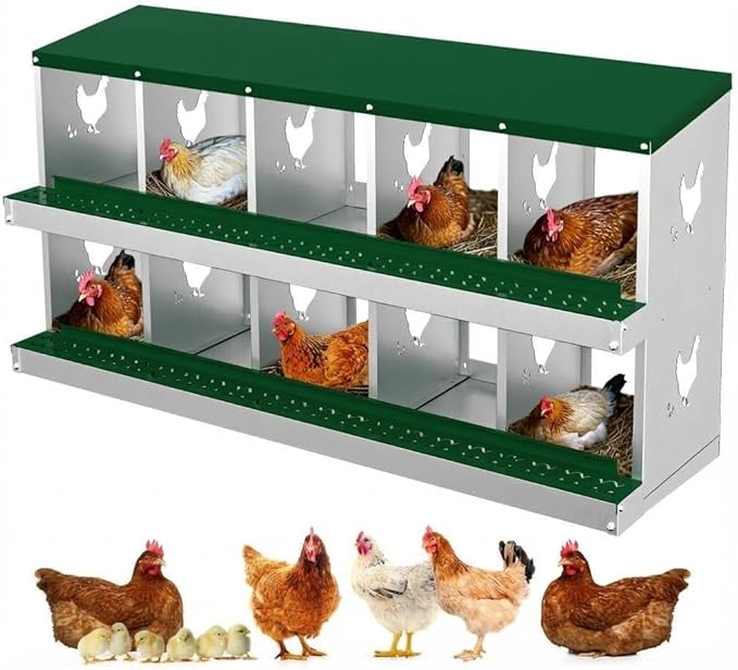 Chicken Nesting Box,10 Holes Galvanized Steel Metal Chicken Laying Box with Automatic Roll-Away Egg Collection System & Removable Tray,Wall Mount Nesting Boxes