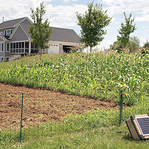 Premier 1 VersaNet® Plus, 30"H x 50'L Portable Electric Garden Net Fence with Built-in Posts | 2" x 2" Strand Spacing at Bottom to Keep Rabbits, Raccoons and Varmints Out of Gardens | Green/Black