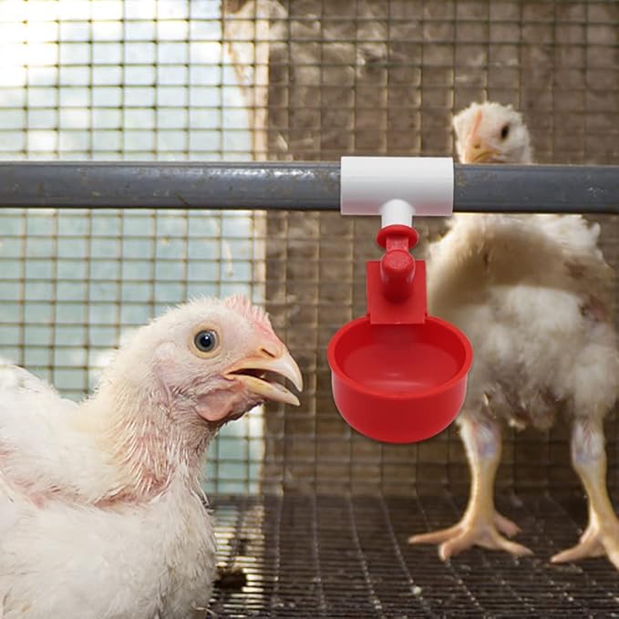 PVC Tee Fittings for Threaded Nipples Chicken Waterer- Reducing Tee Fittings for Schedule 40 PVC Piping with 1/8'' FPT Threads (20)