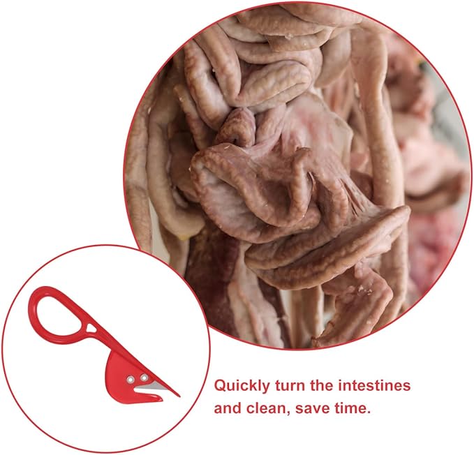 20PCS Poultry Intestine Knife Set Stainless Steel Intestine Opening Tool with ABS Handle for Efficient Poultry Evisceration Chicken Gutting and Cleaning Tool for Farm Backyard Chicken Processing Kitc