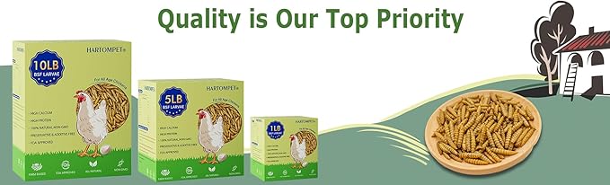 1LB Dried Black Soldier Fly Larvae, Non-GMO & Nutrient-Packed Chicken Feed, Strong Egg Production and Health, Rich in Calcium for Healthy Hens & Ducks, 80X Calcium vs Mealworms