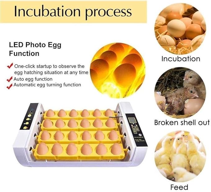 Egg Incubator Automatic Turning with LED Light Temperature Control 24 Digital Eggs Poultry Hatcher for Chicken Duck Goose Quail