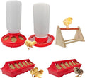 Chick Feeder & Waterer Starter Kit with 2 Trough Feeders and Roost Bar – No-Leak Baby Chick Waterer and Feeders Set for Chicks, Ducklings, Quail & Small Poultry – Essential Brooder Supplies