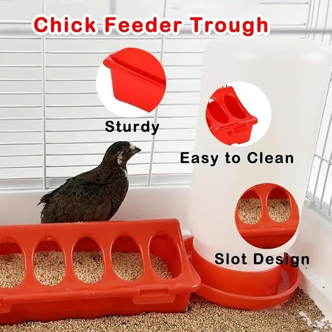 5pcs Chick Feeder and Waterer Kit,Top Fill 1kg Chick Feeder and 1L Chick Waterer,Baby Chicken Supplies with Chicks Perch,for Coop and Brooder for Small Poultry Ducks Quail