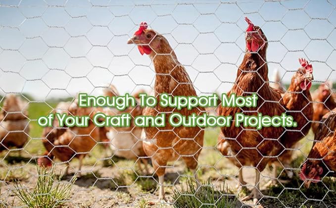 20-Gauge Galvanized Hexagonal Poultry Netting Chicken Wire Rolled Fencing with Mesh Size 1-in (4 ft. x 50 ft.)
