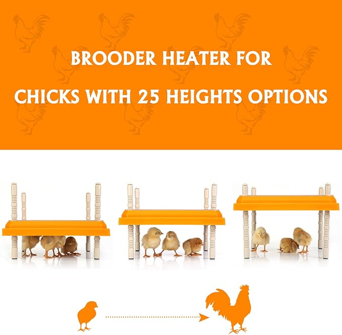 Brooder Heater for Chicks: Chick Brooder Heating Plate with Easy- Cleaning Plate Poultry Coop Heater Chicks Warmer 12" x 12" for 20 Chicks Adjustable Height Brooding Heater 22 Watts
