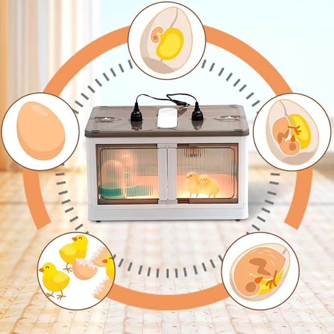 Brooder Box for Chicks Quail Brooder Box with Thermostat Poultry Heater Breeding Box with Feeder and Water for 15 Chicks Quails Ducks Parrots and Hamsters