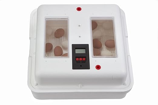 Little Giant® UL Circulated Air Incubator with Automatic Turner | Fits 41 Large Eggs | Chick Egg Hatching Incubator with Fan and Temperature and Humidity Control | Made in USA
