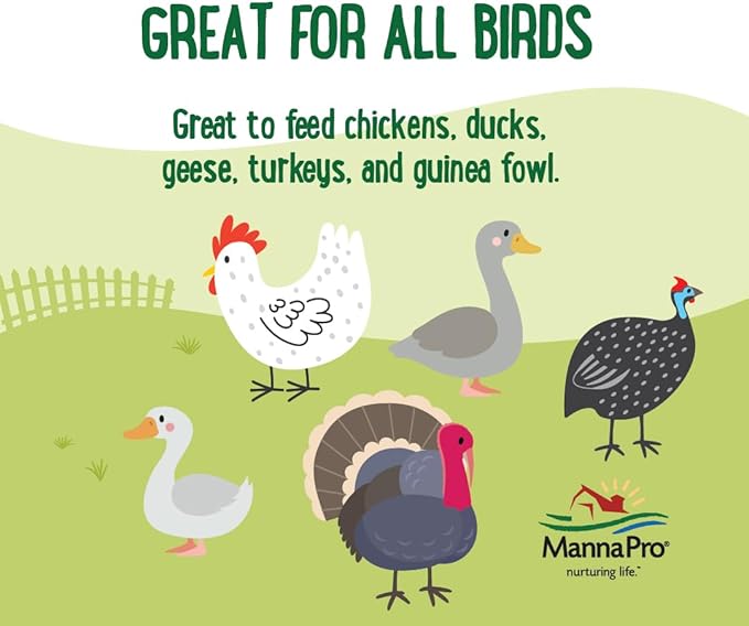 Manna Pro Farmhouse Favorites Critter Combo Crunch Poultry Treat, Protein Poultry Treat, Encourages Natural Foraging Behavior, 100% Natural Blend of Black Soldier Fly Larvae, Mealworms & Shrimp, 2lb