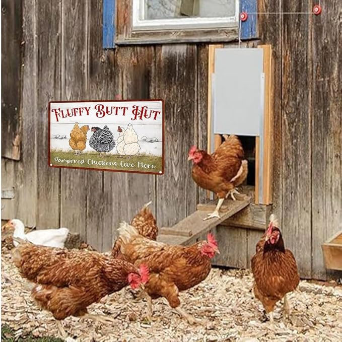 Fluffy Butt Hut Metal Tin Sign Funny Chicken Coop Sign For Home Decor Kitchen Decoration Wall Art Farm Farmhouse Vintage Decor Chicken Coop Accessories 12X16 Inch