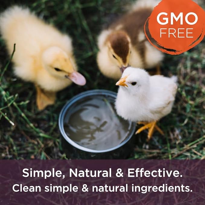 Dr. Connie's Probiotic + Electrolyte Powder for Chickens, Ducks, Goats, Poultry & Livestock | Natural Gut & Hydration Support | Veterinarian Formulated