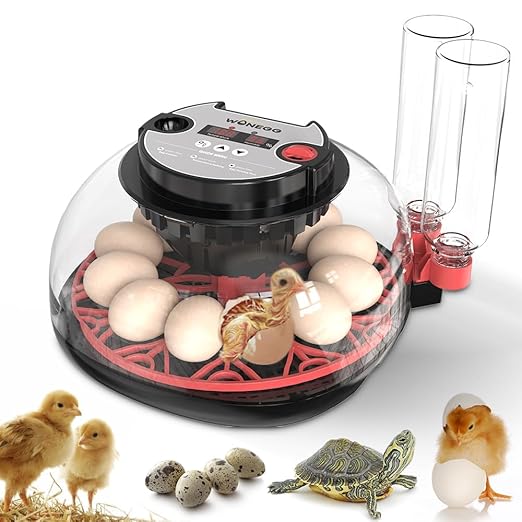 incubators for hatching eggs，12 Egg Incubator,egg incubator with automatic egg turning and humidity control，incubator for chicken eggs，chicken incubators for hatching eggs，egg incubator