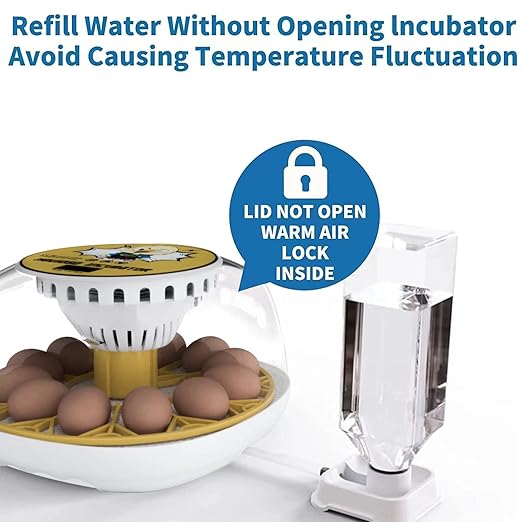 Egg Incubator for Hatching Chicks, 12-24 Egg Incubators with Auto Turning, Automatic Water Top-up, Fahrenheit Display, 360° View Poultry Incubator for Hatching Chicken Duck Quail Parrot