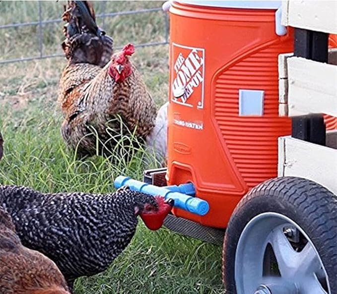 DoubleWood 36Pack Fully Automatic Poultry Drinking Machine Chicken Drinking Cup, Chicken Drinking Watering Cups/Poultry Drinking Machine (36)