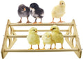 Chicken Perch Wood Stand with Holes Chick Stand Trainning Perch Hen Roost bar for Chicks Poultry Swing Chicken Toy for Hens