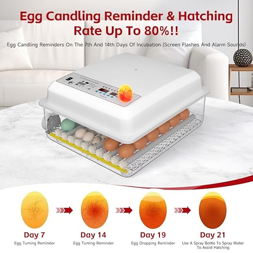 36 Egg Incubator with Automatic Egg Turning and Humidity Control, Incubators for Hatching Eggs, Chicken, Ducks, Goose, Pigeon, Quail, Parrot Incubator for Farm, Lab, Home (White)