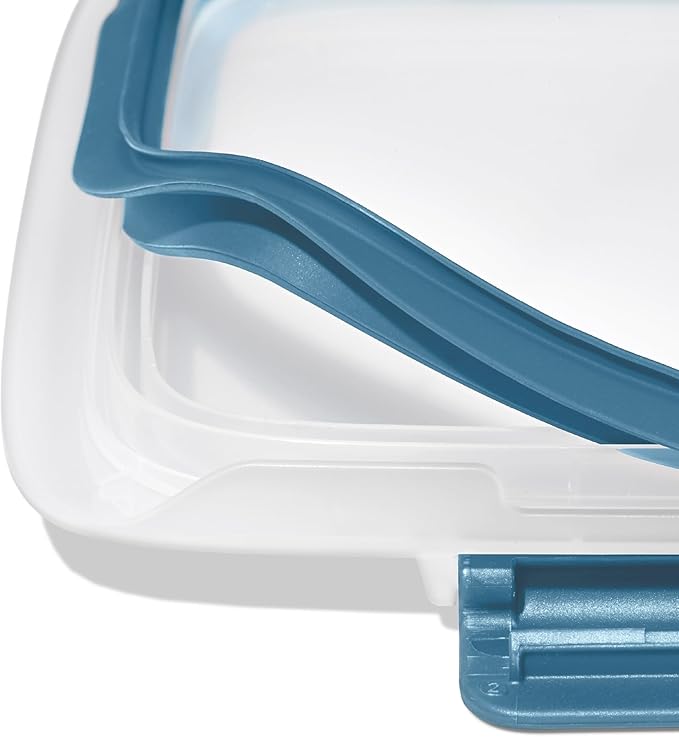 OXO Good Grips Prep and Go Divided Container - Ocean Blue