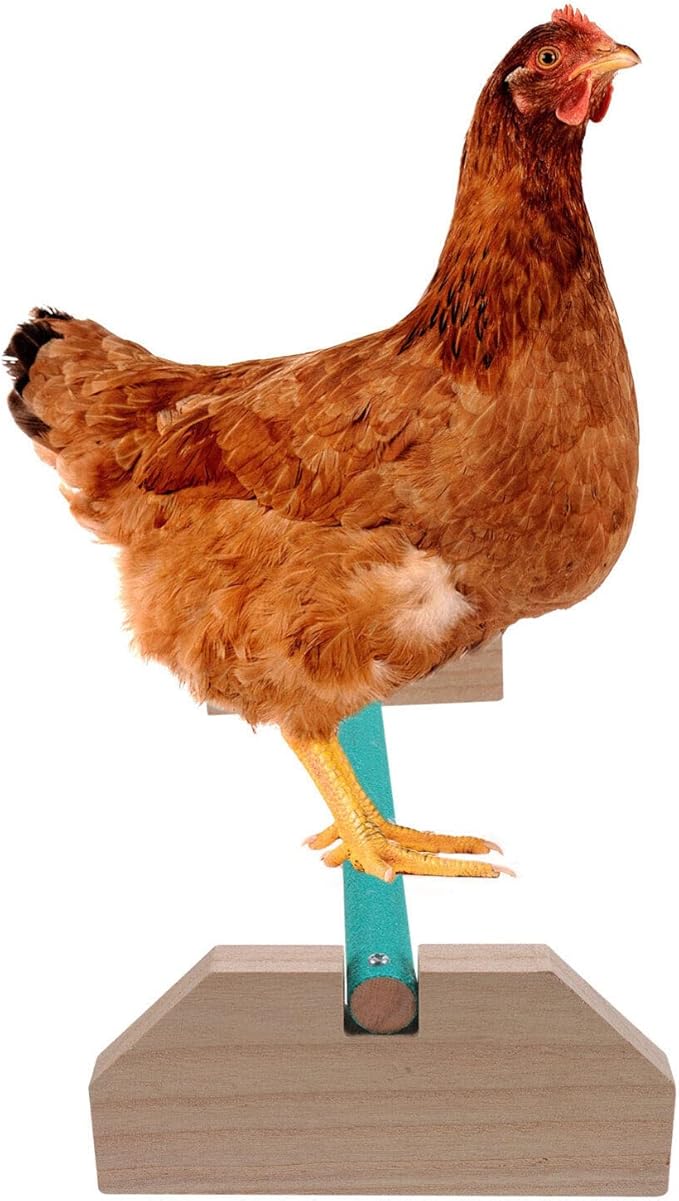 POPETPOP Wooden Chick Perch Stand for Chickens and Birds Natural Wood Roosting Bar for Secure Ground Perching Safe and Sturdy Breeds for and Pets