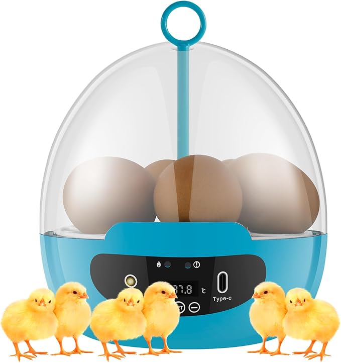 Egg Incubator with 360° Auto Egg Turning and Temperature Control Practical Incubator Smart Egg Incubator for Hatching 6 Eggs Chicken Incubator with LED Egg Light for Hatching Chicks Quails Ducks