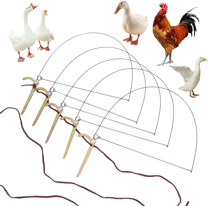 Professional Bird Trap Hunting Trap for Birds Bird Trap for Chicken, Pheasant，Wild Duck, Partridge Mallard and Other Birds Tying Birds' feet Won't Hurt Them