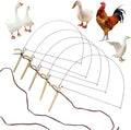 Professional Bird Trap Hunting Trap for Birds Bird Trap for Chicken, Pheasant，Wild Duck, Partridge Mallard and Other Birds Tying Birds' feet Won't Hurt Them