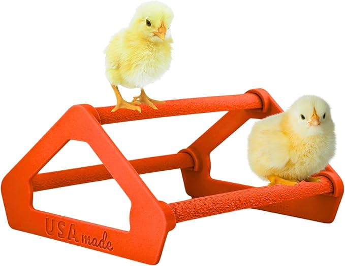 Roosting Perch for Baby Chickens, Chick Brooder Coop Training Toy Accessory, Easy Click Together Assembly, Durable Plastic, Mix and Match Colors, USA Made (Red, 1 Pack)