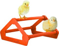 Roosting Perch for Baby Chickens, Chick Brooder Coop Training Toy Accessory, Easy Click Together Assembly, Durable Plastic, Mix and Match Colors, USA Made (Red, 1 Pack)