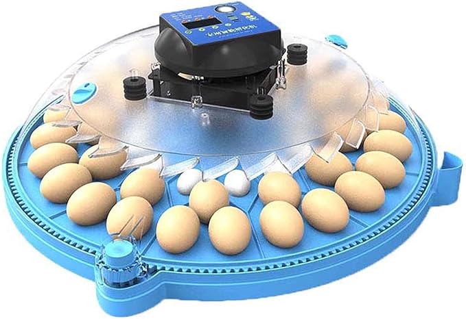 Egg Incubators, Round Poultry Hatcher, Automatic Temperature Control Digital Display Incubator, for Hatching Chick Duck Goose Pigeon Quail Bird Eggs (36 Pieces)