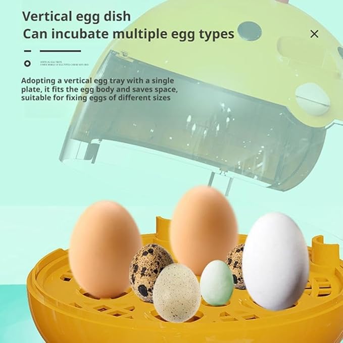 Egg Incubator, Rutin Chicken Egg Incubator for Hatching Eggs, Small Clear Egg Hatching Incubator, Automatic Smart Control Hatcher Machine for Variety Size of Eggs