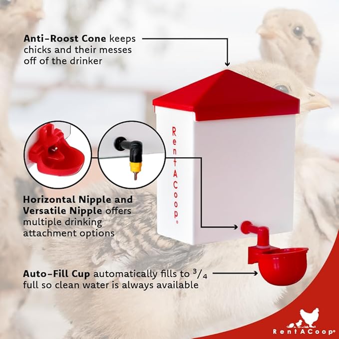 RentACoop 2.5 Pound Chick2Chicken Medium Port Feeder and 64 Ounce (2 Liter) Drinker Set for Chicks, Chickens, Quail, and Other Small Birds