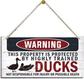 Funny Warning Signs, The Property is Protected By Highly Trained Ducks Sign, Decorative Wood Hanging Wood Plaque, Outdoor Warning Sign, Farm Yard Decor, Door Sign, Farmhouse Home Wall Decor