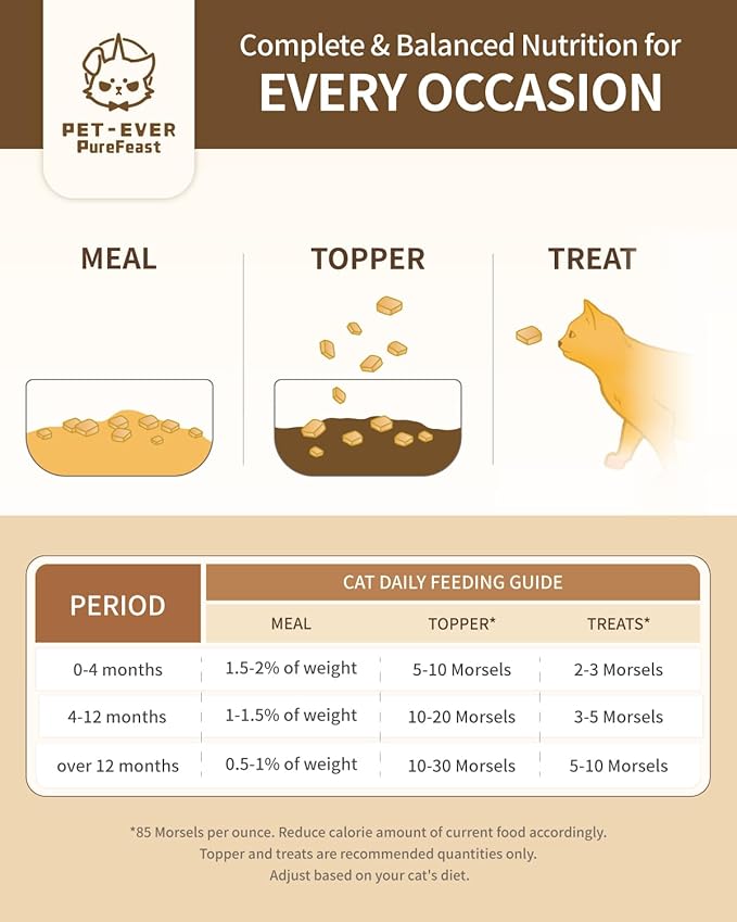 Freeze-Dried Cat Food, 97% Animal Origin Soft Dry Raw Food for Cats, High Protein Healthy Freeze Dried Cat Treat & Topper (Beef Recipe - 14 Ounce)