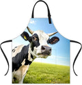 Apron Adjustable Waterproof with Two Deep Pockets Wowen men for Summer BBQ Pool Parties & Resorts
