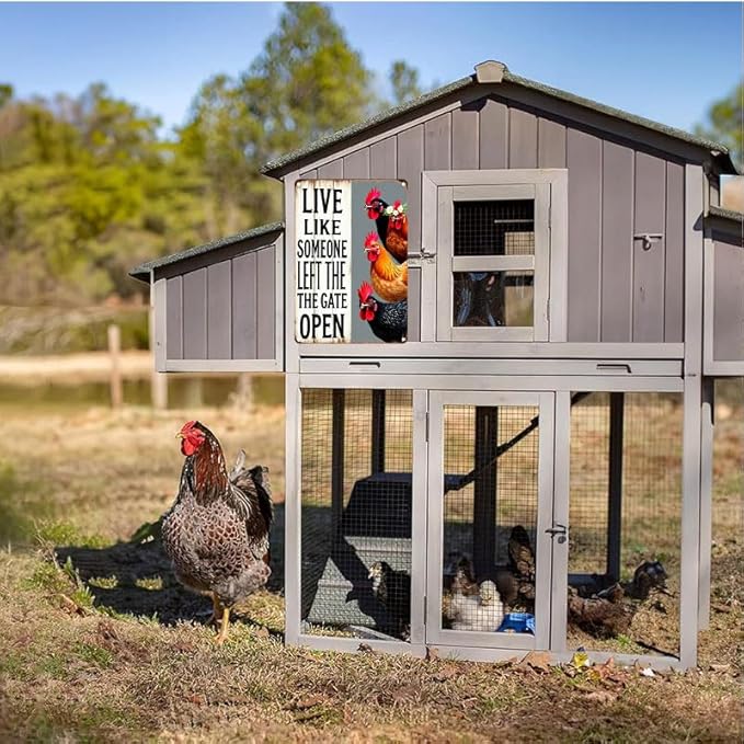 Chiken Gifts Vintage Chicken Decor Sign Live Like Someone Left The Gate Open Tin Sign for Home Chicken Coop Farm Fence Kitchen Bathroom Bedroom Wall Decor 8x12 Inches