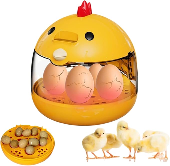 Egg Incubator, Rutin Chicken Egg Incubator for Hatching Eggs, Small Clear Egg Hatching Incubator, Automatic Smart Control Hatcher Machine for Variety Size of Eggs