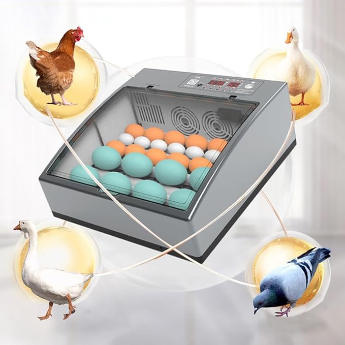 Egg Incubators for Hatching Eggs, Chicken Incubator for Eggs with Automatic Egg Turning and Humidity Control, for Hatching Chickens, Quails, Ducks, Geese，Parrots