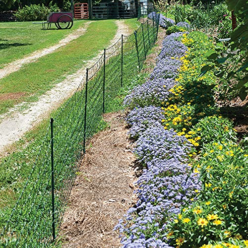 Premier 1 VersaNet® Plus, 30"H x 50'L Portable Electric Garden Net Fence with Built-in Posts | 2" x 2" Strand Spacing at Bottom to Keep Rabbits, Raccoons and Varmints Out of Gardens | Green/Black