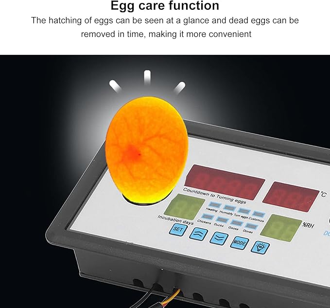 plplaaoo Intelligent Incubator Thermostat,DC 12V 100W Egg Incubator Temperature Controller, Digital Automatic Egg Hatching Incubators Controller for Hatching Duck Eggs Goose Egg