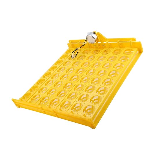 56 Egg Mini Egg Incubator with Automatic Turning Tray and Motor, Ideal for Poultry Hatching