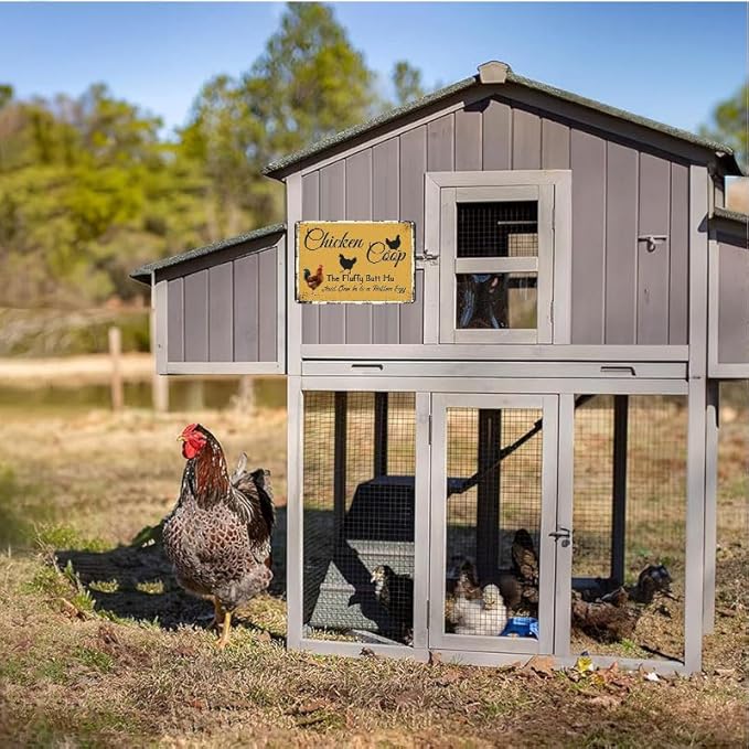 Chicken Coop Outdoor Decor with Fluffy Butt Hut Design 12x8 Inch Tin Sign for Yard Farmhouse Poultry Lovers