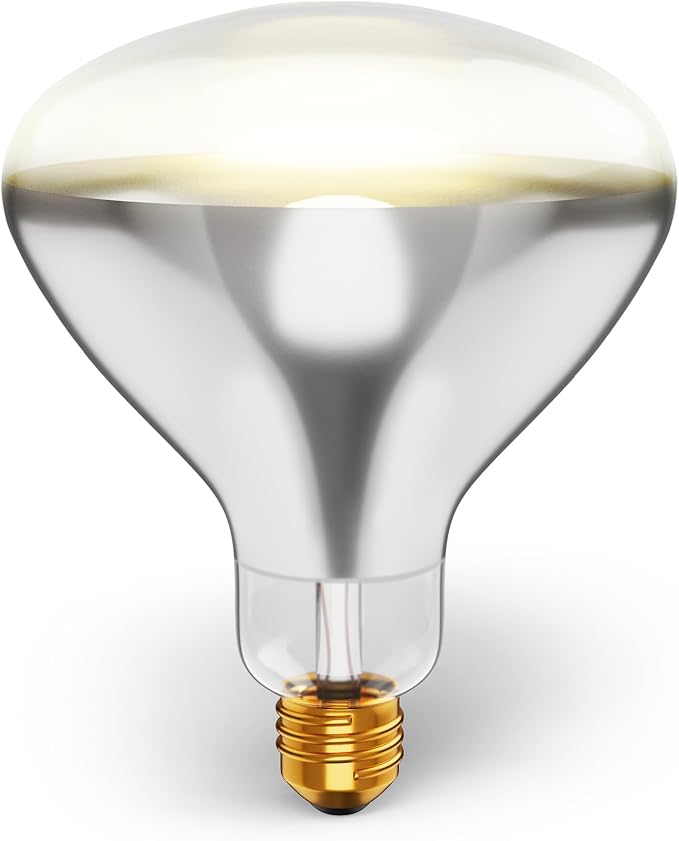 250R40/1 250-Watt, Incandescent R40 Reflector, Clear Head Lamp, Heat Flood Lamp Light Bulb, E26 Standard Medium Screw Base, 120V, 6,000 Hour Rated (Pack of 2-Clear-Heat Lamps)