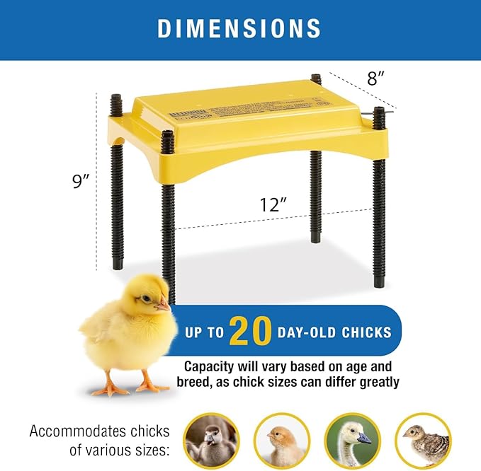 Brinsea Ecoglow Safety 600 Chick or Duckling Brooder, Adjustable Height & Angle Brooder Plate, Ideal for Chicken Coops Poultry Heating with Safety Indicator, 12 Watts