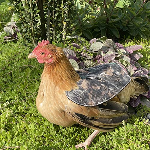 The Chicken Chick® Hen Mating Saddle Bantam / Small - Camouflage, Cotton - Image 4