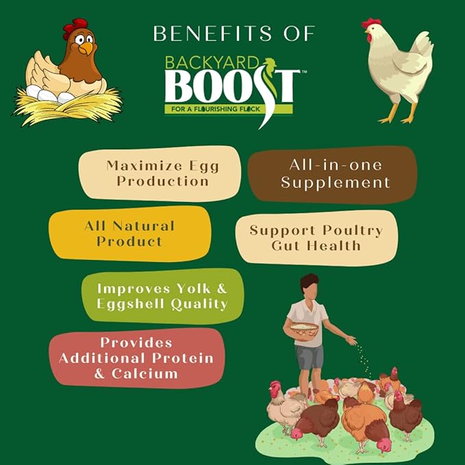 Daily Essentials Chicken Feed | Pelleted High Protein Food for Laying Hens | 2.5 Pound Bag